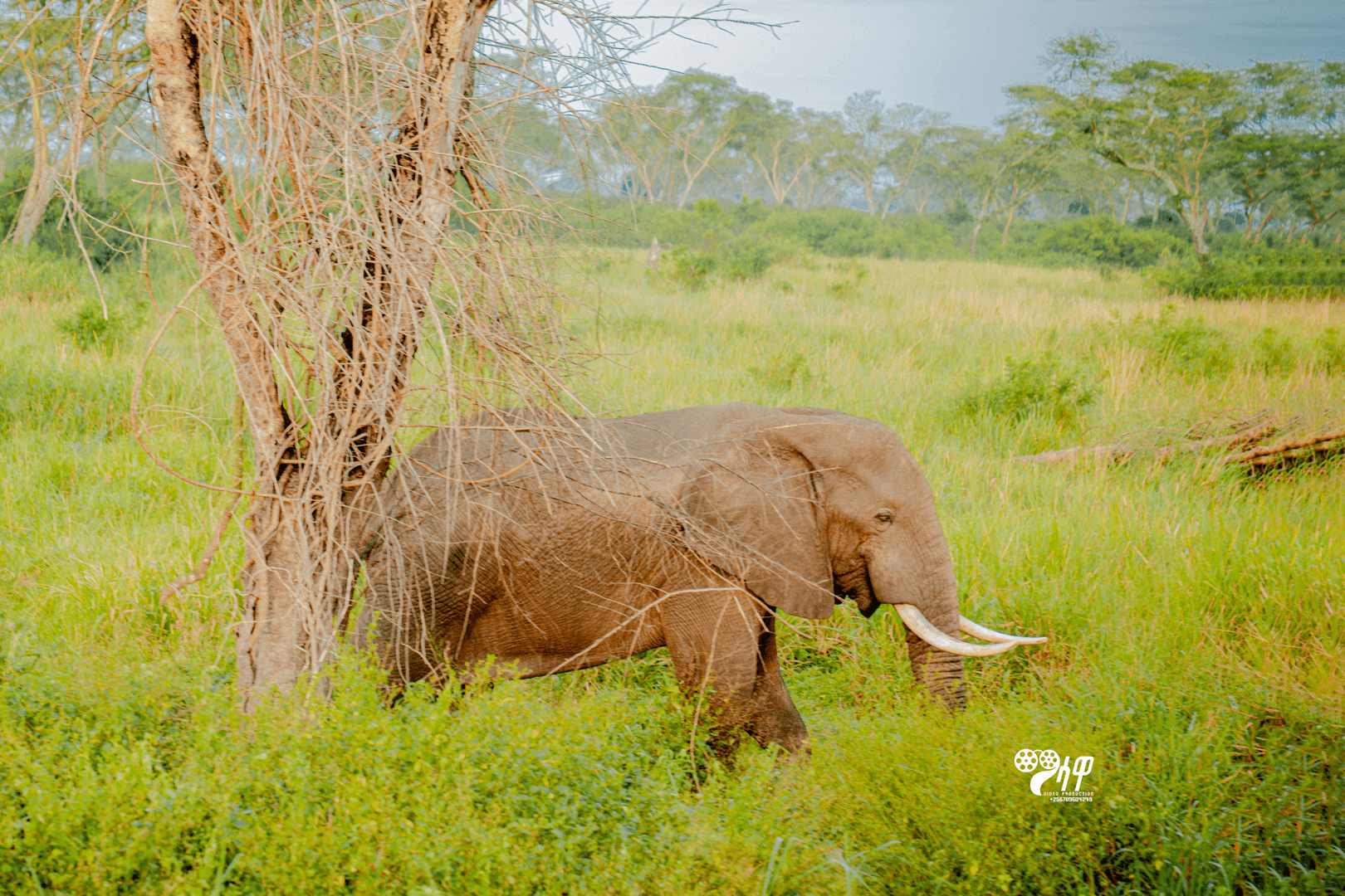 Uganda Safari Gallery Image 26